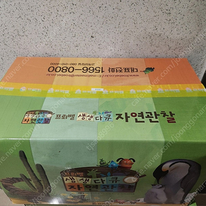프뢰벨 생생다큐 자연관찰(미개봉)