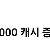 카카오 페이지 3000캐쉬 1500원