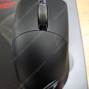 Asus ROG Keris Wireless 판매