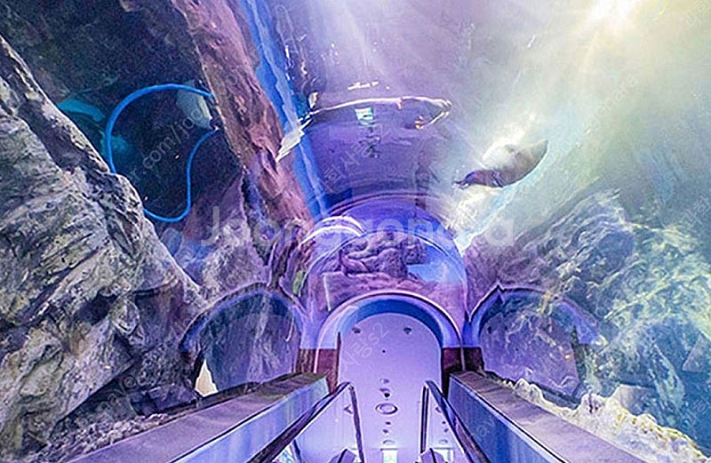 롯데월드 아쿠아리움 입장권(모바일 바코드) 1장--0