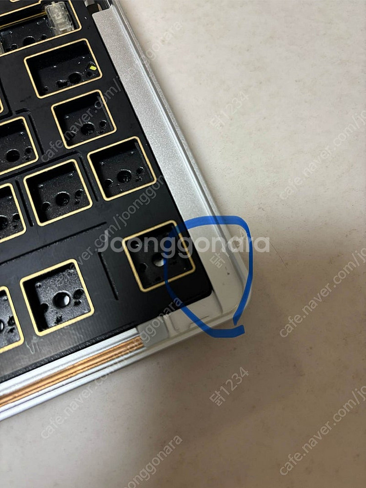 Owlab(오울랩) Jelly Evlov 실버--2