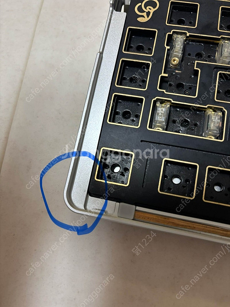 Owlab(오울랩) Jelly Evlov 실버--3