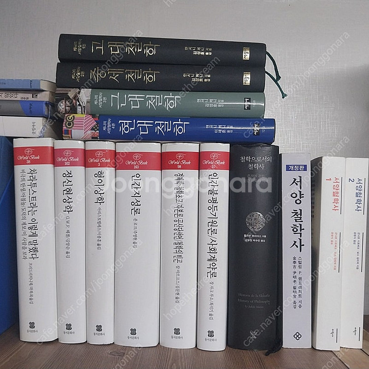 철학 신학 도서 40%에 정리합니다--1