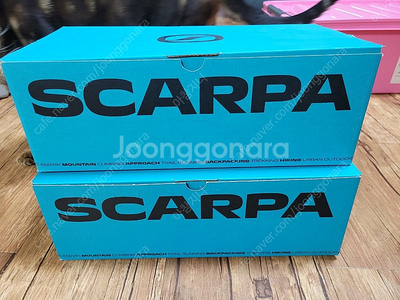 클라이밍화(scarpa) 암벽화--9