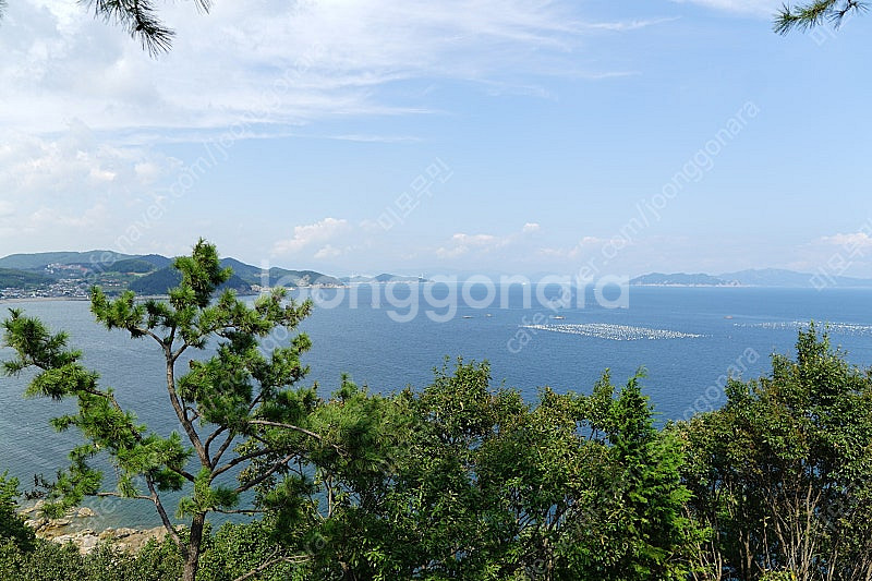 티셀플리거A , 밀리타도ml05 판매합니다--0