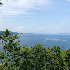 티셀플리거A , 밀리타도ml05 판매합니다