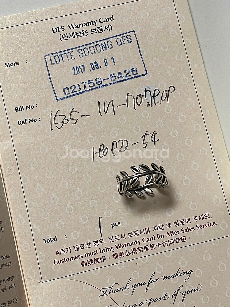 판도라 월계수 54호--3
