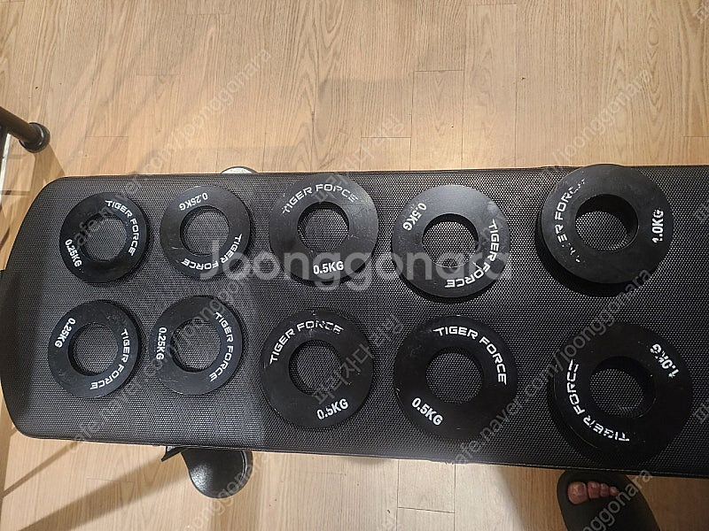타이탄테크 마그네틱 저중량 원판 세트--0
