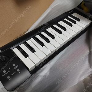 Korg microKEY 25 (코르그 마이크로키 25)