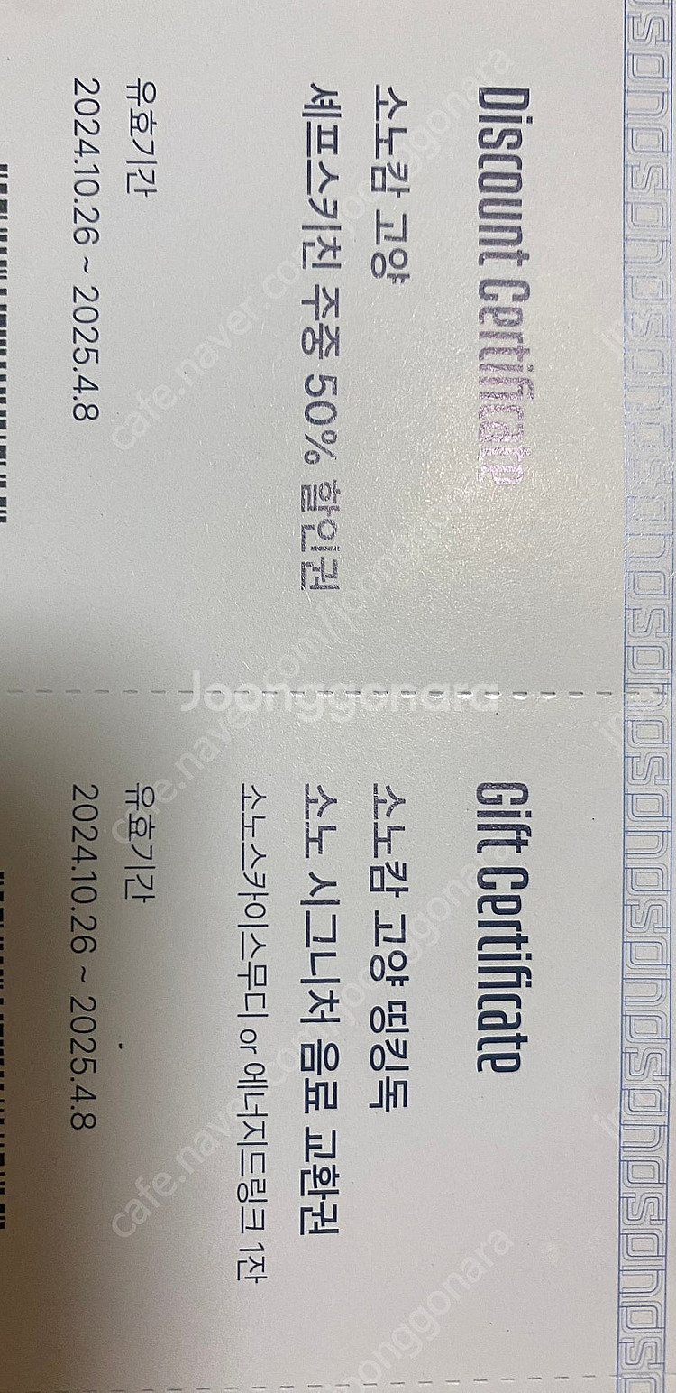 고양소노캄 셰프스키친 주중 50%할인권 판매--0