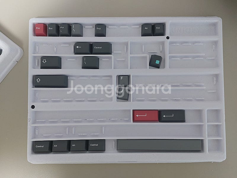 GMK 모던 돌치--2