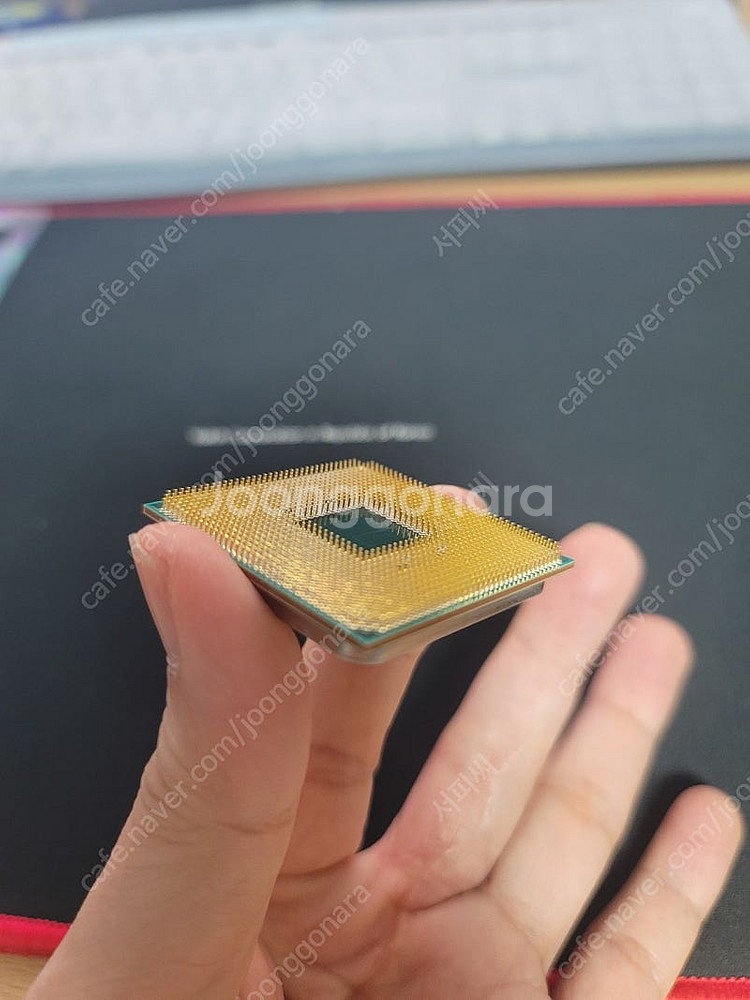 라이젠 5600g 팝니다.(택포 11만)--1