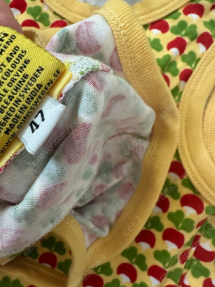 던스 24au 미니순무 덩가리 보넷 일괄--2