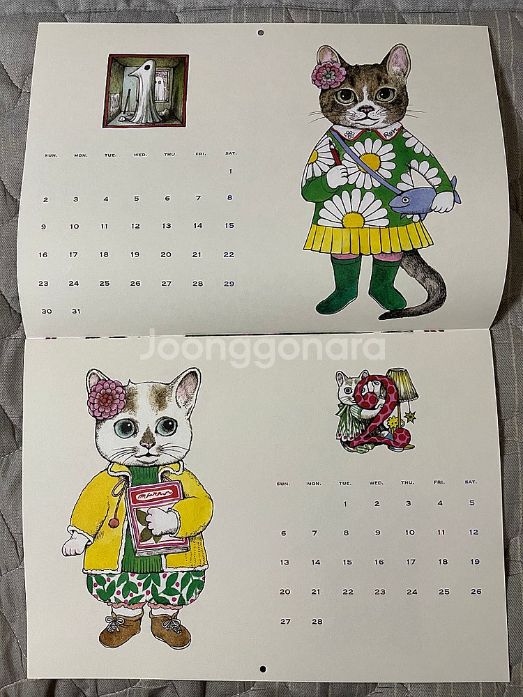 일본MOE 잡지 2022년 2월호 히구치 유코 캘린더 포함--1