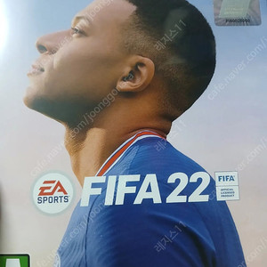 ps4 피파22 한글