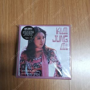 김정미 anthology 4cd box 폭싹 속았수다 삽입곡 봄 수록