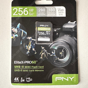 엔젤버드 AV PRO CFexpress 2.0 Type B SE 1 TB ,PNY 256GB EliteX PRO60 UHS II SDXC 메모리