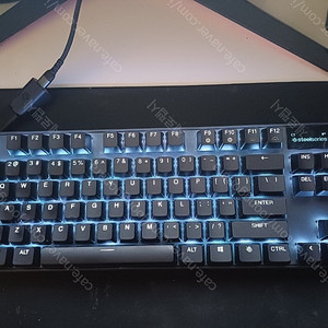 apex pro tkl wireless(2023)