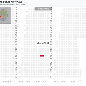 [정가양도] 3/26, 3/27 KIA 타이거즈 vs 키움 히어로즈 응원특별석 K9 2연석 광주 기아챔필경기