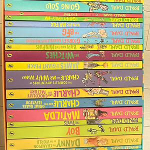 Roald Dahl 24권 로알드달