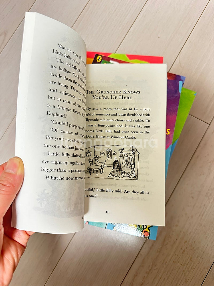 Roald Dahl 24권 로알드달--2