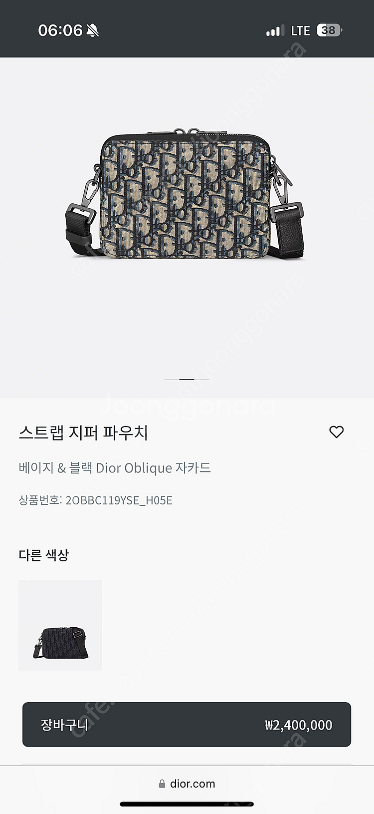 디올 오블리크 스트랩파우치--1