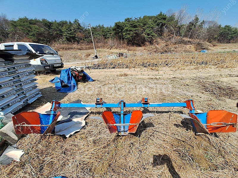 대호베토기--0