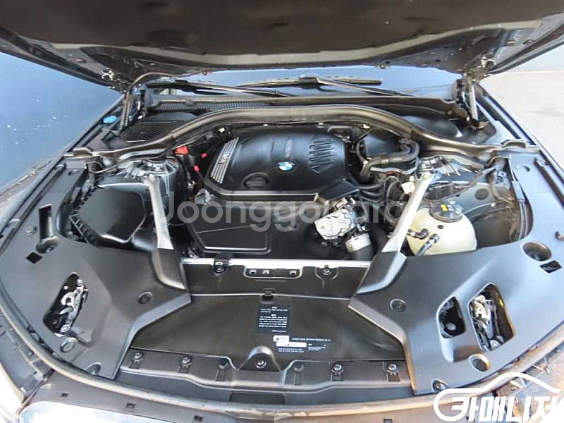 BMW [BMW]5시리즈 (G30) 520d xDriv...--8