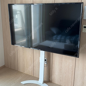 LG 65인치 스마트 TV