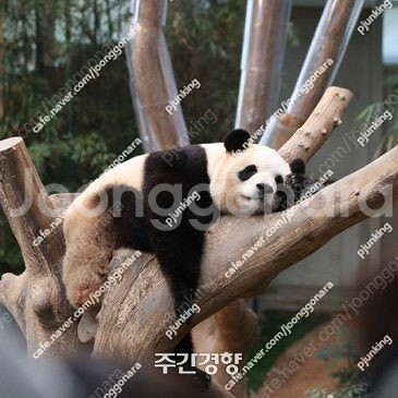 수능 수학 퀄리티 좋은 실전모의고사 싸게팔아요 미리 쟁여두세요~--0