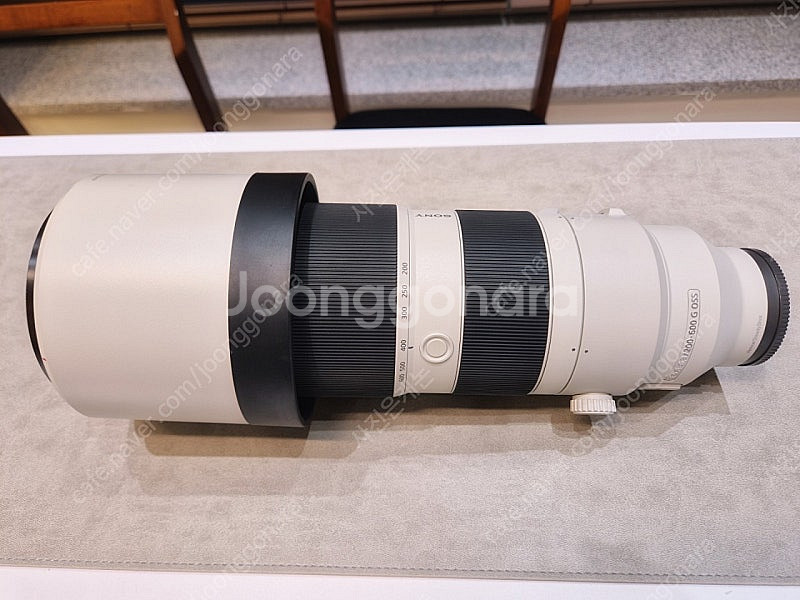 소니 FE 200-600mmG oss--0