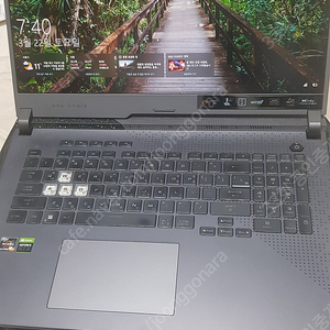 G713RM-LL121 ASUS ROG STRIX 서울 서초, 경기 시흥