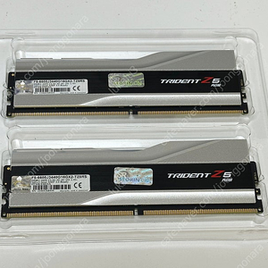 G.SKILL DDR5 6600 CL34 TRIDENT Z5 RGB 실버 패키지