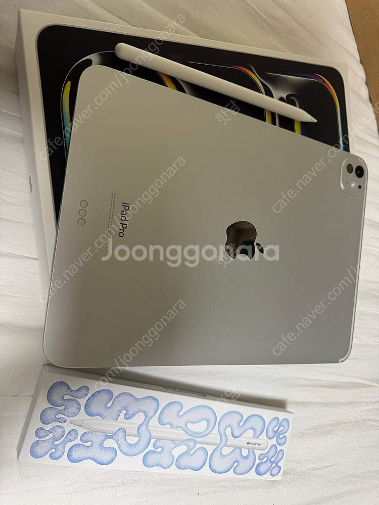 아이패드 프로 7세대 M4 11형 1TB 16GB ra...--0