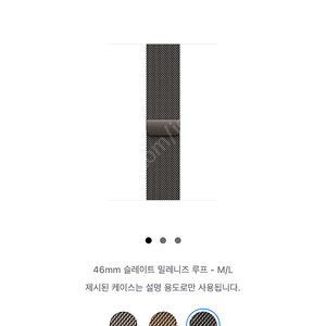 46mm 슬레이트 밀레니즈 루프 - M/L