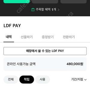 롯데면세점 Ldf pay ldf페이 48만원