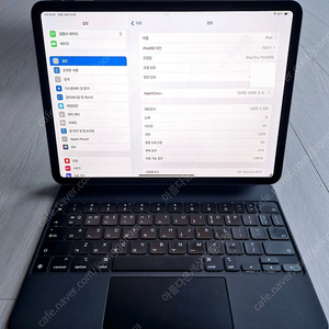 구입 후 사용안한 새재품 <iPad Pro 11(4세대)-2TB-유심무선데이터-제품> 풀옵션제품