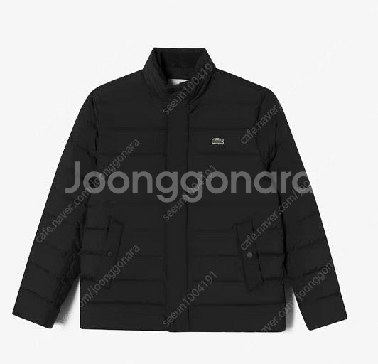 라코스테 남성 구스다운 패딩--2