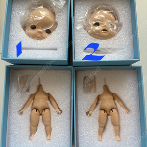 오비츠디엔디엔
