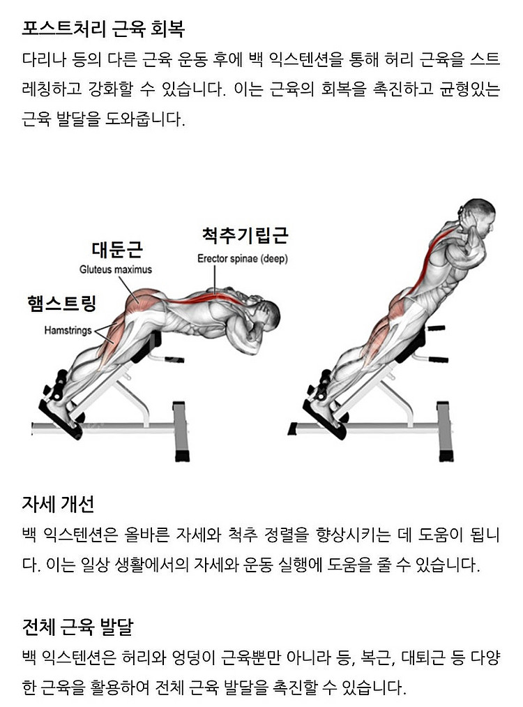 헬스기구 판매합니다. 백 익스텐션--1