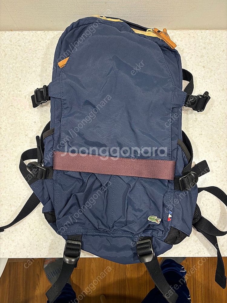 라코스테 백팩--0
