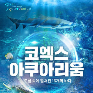 롯데, 코엑스 아쿠아리움 모바일 티켓 판매합니다. 03월31까지, 당일 사용 가능, 주중 주말 사용가능