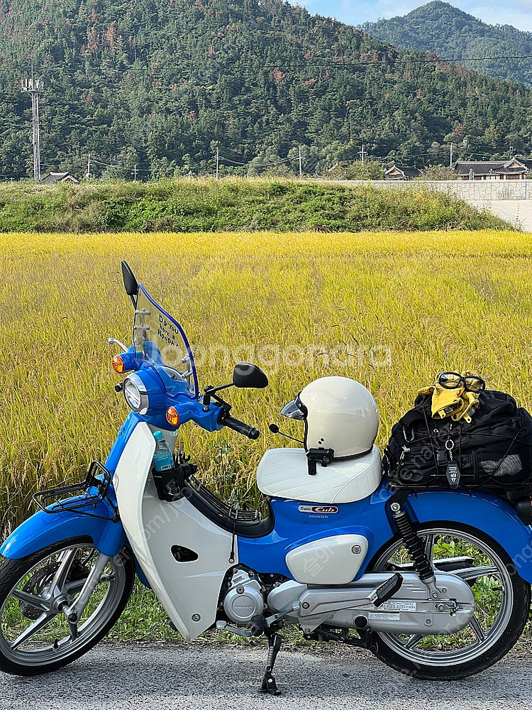 슈퍼커브110 23년식(24년출고) 블루 76xxkm ...--0