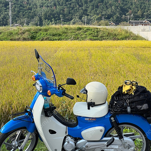 슈퍼커브110 23년식(24년출고) 블루 76xxkm 팝니다.