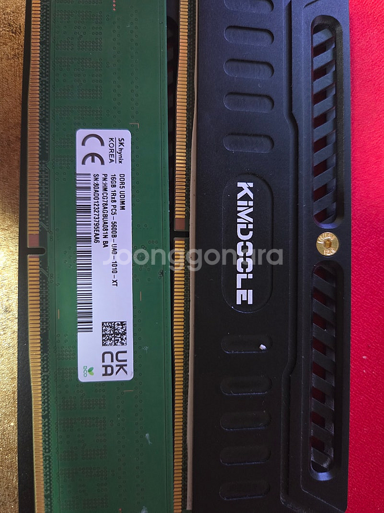 Ddr5 하이닉스 a다이 언락 081N 32gb + 김...--0