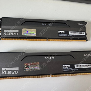 ESSENCORE KLEVV DDR5-6000 CL30 BOLT V 패키지 서린 (32GB(16Gx2))