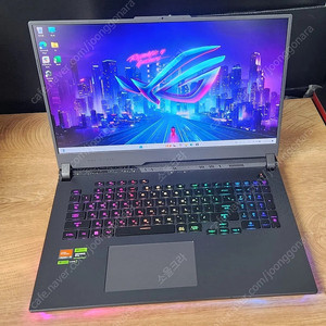 ASUS ROG STRIX G17 G713PI(라이젠9 7945hx/ram64g/rtx4070)