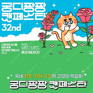 (바로전송) 2025 궁디팡팡 캣페스타 부산벡스코 모바일티켓 ( 3월 27일까지만 )