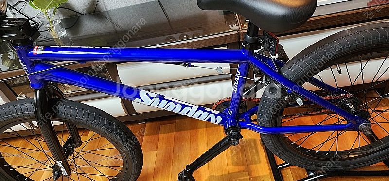 선데이 BMX--1