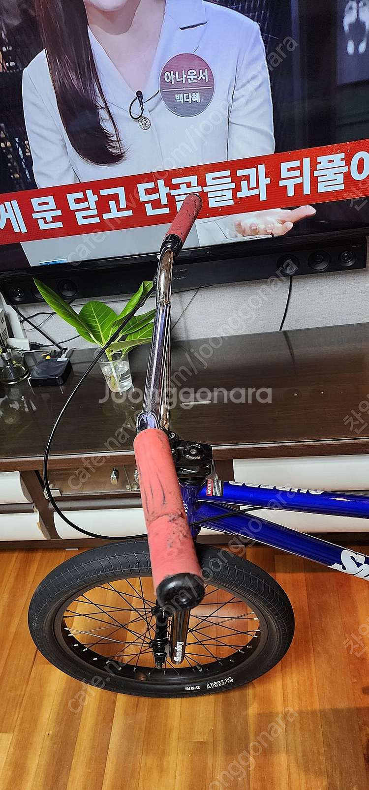 선데이 BMX--3